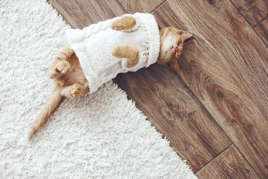 Как справиться с шерстью в квартире с кошкой или собакой